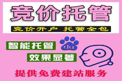 竞价代运营助力中小企业SEM推广的策略与效果