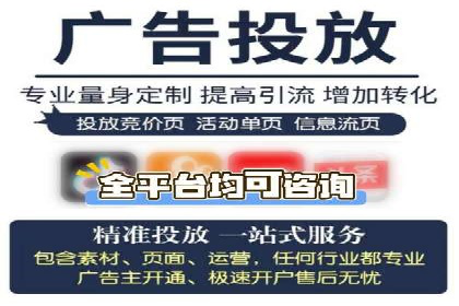 SEM推广策略：成功案例解析